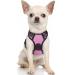 Rabbitgoo dog harness Small dogs anti -train dishes dog with control no pull adjustable dog dishes large dogs breathable reflex stripes breast harness dog safe guidance pink xs xs (1 Pack) pink