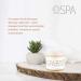 BCL Spa Bath Salt Milk + Honey - Dead Sea Salt Soak for Relaxation | International Shipping - Buy Online on SooperMarket.com