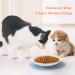 Ceramic Cat Food Plates and Wide Bowls for Stress-Relief Whisker Fatigue | Cat Feeding Dishes in White & Black - Buy Online on SooperMarket.com