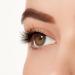 ARDELL Light As Air Style 521 - 2 Sets of Vegan Ultrathin Natural Fake Eyelashes with Glue - Reusable & Lightweight Band Lashes for Effortless Beauty - Buy Online on SooperMarket.com