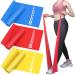 Resistance Bands Set, Exercise Bands for Physical Therapy, Yoga, Pilates, Rehab and Home Workout, Non-Latex Elastic Bands Set of 3 Yellow,Red,Blue 4.9FT