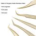 Ms. Queen Golden Curved Tweezers Set for 2D-6D Volume & Individual False Lashes - Precision Tweezers with PU Storage Case - Buy Online on SooperMarket.com