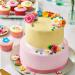 Funcakes Fondant MultiPack Pastel Colors - Easy to Use Smooth & Flexible Cake Decorating | Halal Kosher Gluten-Free | 5 x 100g - Buy Online on SooperMarket.com