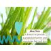 Babo Botanicals Eucalyptus Remedy Shampoo & Wash - Eucalyptus & Rosemary Oils - EWG Verified, Vegan & Cruelty-Free - 16 fl. oz - Buy Online on SooperMarket.com