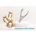 SMI Nail Tongs & Footnail Pliers - Stainless Steel Toenail Scissors & Clippers for Ingrown & Thick Nails - Includes Case - Buy Online on SooperMarket.com
