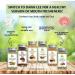 Dawn Lee Mouth Freshener Fennel Zing Roasted and Lemon Flavored Freshens Breath Enhance Nutrition Absorption Promotes Oral Health Healthy After Meals- 100 Gram - Buy Online on SooperMarket.com