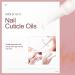 Shelloloh Cuticle Oil Set - Nourishing Dry Cuticles, 5 Flavor Revitalizer Pen with Soft Brush - 10pc Nail Care Kit - Buy Online on SooperMarket.com