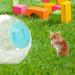 JVHLOV Dwarf Hamster Ball Hamster Running Wheel Small Animal Activity Toy Hamster Ball Pet Mouse Mice Gerbil Exercise Wheel Toy Blue 14.5cm/5.71inch diameter - Buy Online on SooperMarket.com
