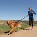 Halti Active Dog Leash with Neoprene Padding | 3m Reflective Shock Absorption Freehand Design for Running with Medium & Large Dogs - Size Large Black - Buy Online on SooperMarket.com
