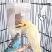 PINVNBY No-Mess Bird Feeder for Parrots - Seed Food Container with Perch - Ideal for Budgerigar, Canary, Cockatiel, Finch, Parakeet, and More - Buy Online on SooperMarket.com