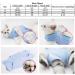 Cat Professional Surgical Recovery Suit Cat Clothes for Abdominal Wounds or Skin Diseases (M Blue) 1.36 kg (Pack of 1) Blue - Buy Online on SooperMarket.com