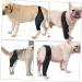 CORHAD Dog Leg Braces for Hindleg Comfortable Dog Knee Dog Back Leg Protector Puppy Pet Mesh Fabric Care M As Shown - Buy Online on SooperMarket.com