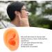 Flexible Silicone Human Ear Model for Displaying Earrings - Reusable Fake Ear Right Side - Buy Online on SooperMarket.com