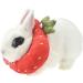 Buy Fladorepet Rabbit Protection Cone Elizabethan Neck Collars & Hasentoast Avocado Costume for Small Pets - Perfect for Recovery & Fun! - Buy Online on SooperMarket.com