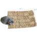 REFURBISHHOUSEÂ Rabbit Mat Grass Mats For Rabbits Safe & Edible Rabbit Mats For Cages Bunny Chew Toys For Rabbits - Buy Online on SooperMarket.com