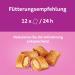 Whiskas Crunchy Pockets Cat Snack with Salmon - 8x60g - International Shipping Available - Buy Online on SooperMarket.com
