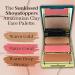 Buy Tarte Amazonian Clay Party Palette Cheek Set - International Shipping Available | Shop Now - Buy Online on SooperMarket.com