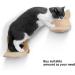 Wall Mounted Cat Hammock Shelf with Solid Rubber Wood Steps - Hanging Perches for Sleeping, Playing, and Climbing - Buy Online on SooperMarket.com