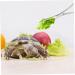 Kisangel Reptile Feeding Clip Terrarium Supplies Snake Tank Accessories Stainless Steel Silver - Buy Online on SooperMarket.com