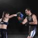 Flexzion Blue Curved Muay Thai Kick Pad for MMA, Karate, Taekwondo - Adjustable Forearm Strap - Buy Online on SooperMarket.com
