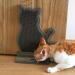 Ibluelover Cat Brush - Corner Grooming & Massage Brush for Long-Haired & Short-Haired Cats | Wall-Mounted Cat Scratchboard & Play Toy - Buy Online on SooperMarket.com