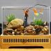 Mioyoow 10W IP68 Waterproof Mini Aquarium Heater - Temperature Controller for 0.5-1.3 Gallon Aquariums - Compliant with European Regulations - Buy Online on SooperMarket.com