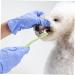BELLIFFY 1pc Fine Fiber Plastic Cat Toothpaste Kitten Toothbrush Pet Supplies Pet Toothbrush - Buy Online on SooperMarket.com