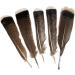 Grade A Natural Turkey Feathers 10-12inches - Pack of 10 for DIY Crafts & Clothing Decoration - Buy Online on SooperMarket.com