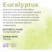 Aura Cacia Eucalyptus Essential Oil 60ml - 100% Pure & GCMS Tested - Buy Online on SooperMarket.com