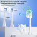 10 Pack of Compatible Soft Electric Toothbrush Heads for Philips Sonicare C1 C2 C3 G2 W2 G3 W3 A3 4100 5100 6100 - SoftCare HealthyWhite | 10 Counts - Buy Online on SooperMarket.com