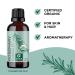 Certified Organic Rosemary & Moringa Oils - USDA Essential Oil for Hair, Skin & Nails - Aromatherapy with Cold Pressed Virgin Moringa Oil - Buy Online on SooperMarket.com