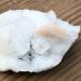 50g-300g Natural Raw s Apophyllite Stone Cluster Rough Stone Zeolite for Home Decoration 1pcs Can be Used for (Size : 230-260g) HOMEZHOU (Size : 130-160g) - Buy Online on SooperMarket.com