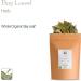 Bay Leaf Organic Herb Laurel - Whole Culinary Quality Leaf - 100g - Buy Online on SooperMarket.com