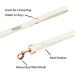 Lionet Paws Dog Leash - Premium Silk Leash for All Sizes | Matching Collars for Boys & Girls - XS White (Pack of 1) - Buy Online on SooperMarket.com