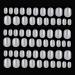 Kalolary 600PCs children false nail wrong nails to glue artificial fingernails natural acrylic nail tip full cover short false nail gift for girls natural