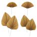DBOO 6 Pcs Paper Palm Fan Cake Toppers Palm Leaf Fan Cake Topper Palm Spear Leaf Cupcake Toppers Cake Insert Decoration for Cake Decorating DIY Craft Project Home Wedding Party D cor Gold