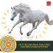 Buy Emma Linseed Oil for Horses & Pets - Cold-Pressed Omega 3 & 6 Fatty Acids for Shiny Fur & Digestion | 2x1L - Ideal for Dogs & Cats - Buy Online on SooperMarket.com