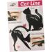 Mikinona Stencils 2pcs Eyeshadow Stencil Eye Stencil Eyeliner Model Card Cat Eye Stencil - Buy Online on SooperMarket.com
