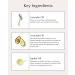 John Masters Organics Hair Conditioner - 1 Pack (236 ml) | Premium Natural Hair Care for All Hair Types - Fast International Shipping - Buy Online on SooperMarket.com