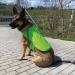 Reflective Dog Warning Vest - Safety Jacket with Lining Fabric | Robust Sizes in Neon Green for Enhanced Visibility - Buy Online on SooperMarket.com