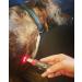 playhair Red Led Light Therapy Device -Cat Dog Horse. Pain Relief Hip Joint Mobility.and Inflammation Relief Advanced Pain Relief - Buy Online on SooperMarket.com