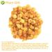 Plantgift Natural Dried Longan 100g - Premium Quality 100% Fruit Meat No Sugar Perfect for Teas Desserts & Cooking - Buy Online on SooperMarket.com