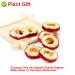 Buy Dried Hawthorn Berries (Shaanzha) - 80g Plant Gift for Health Tea | International Shipping - Buy Online on SooperMarket.com
