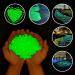 300 Colorful Fluorescent Stones - Bright Garden Pebbles for Walkways Aquariums & Lawn Decoration (Green 17x13mm) - Buy Online on SooperMarket.com