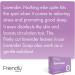 Friendly Soap Handmade Natural Lavender Soap - Relaxing Indulgent Exfoliating 95g - Buy Online on SooperMarket.com