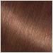 Garnier Nutrisse Nourishing Creme Hair Color 60 Light Natural Brown (Acorn) - 2 Count Pack - Buy Online on SooperMarket.com