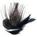 Peacock Hair Clip Natural Fascinator Barrette with Sparking Rhinestone  - Buy Online on SooperMarket.com