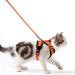 Cat dishes with a leash breakproof cat leash set adjustable soft kitten vest with reflective stripes breast dishes for small kittens (orange s) orange s