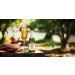 Martinelli's Gold Medal Sparkling Pear Cider Juice 8.4 fl oz - Pack of 12 Bottles | Non-Alcoholic Pear Juice - Buy Online on SooperMarket.com