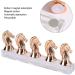 Horse Head Nail Tip Nail Tip Holder DIY Training Tips Display Practice Rack Magnet Adsorption False Nail Display Support Holders False Nail Tip Manicure Tool(Rose Gold) - Buy Online on SooperMarket.com